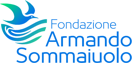 Fondazione Armando Sommaiuolo