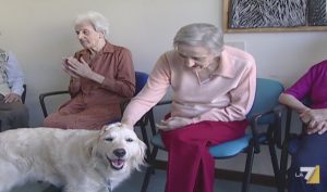 Anteprima video: Amici animali